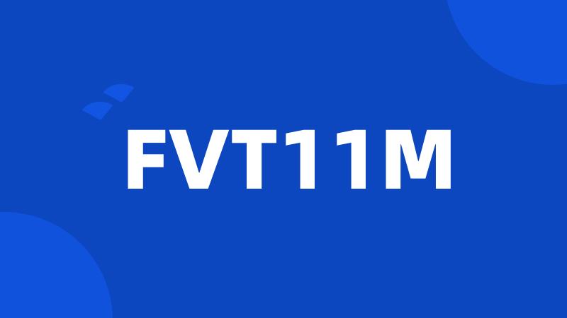 FVT11M