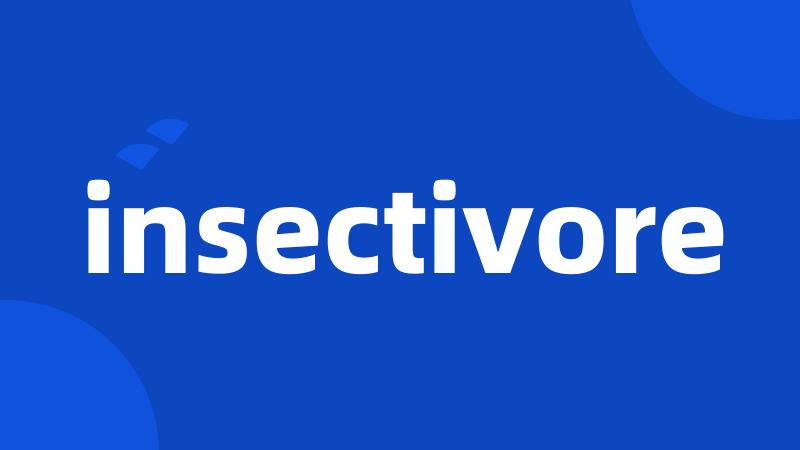 insectivore