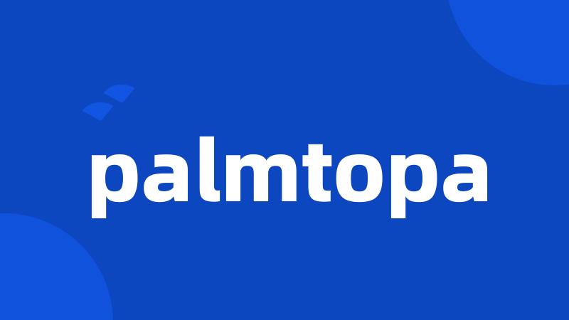 palmtopa