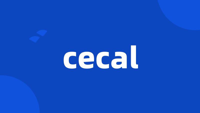 cecal