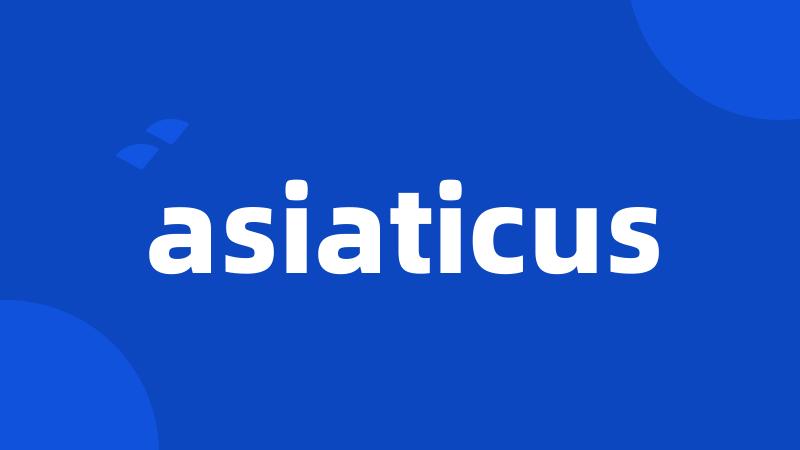 asiaticus