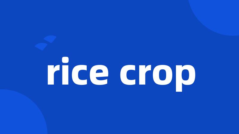 rice crop