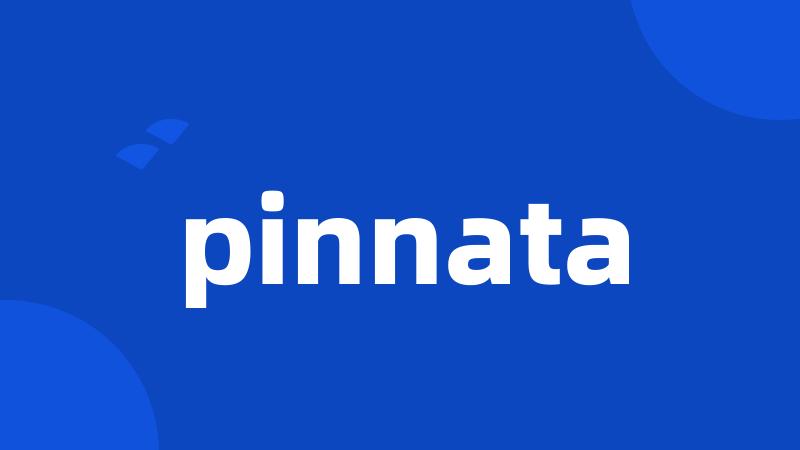 pinnata