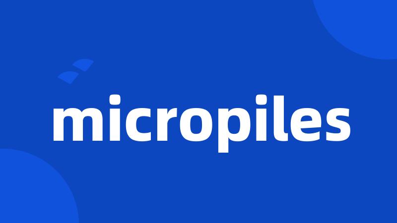 micropiles