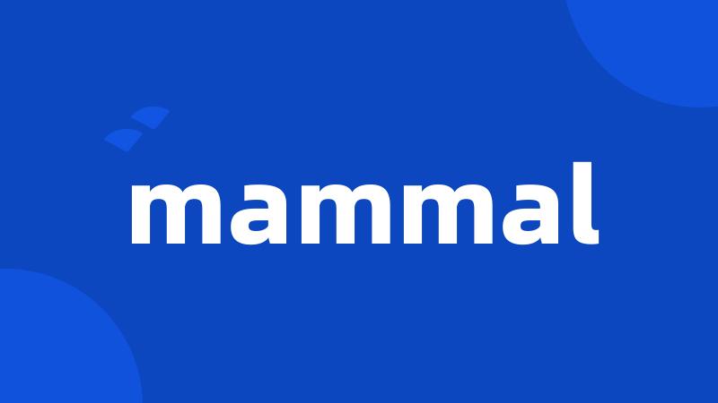 mammal