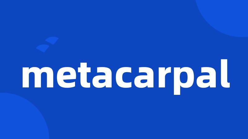 metacarpal