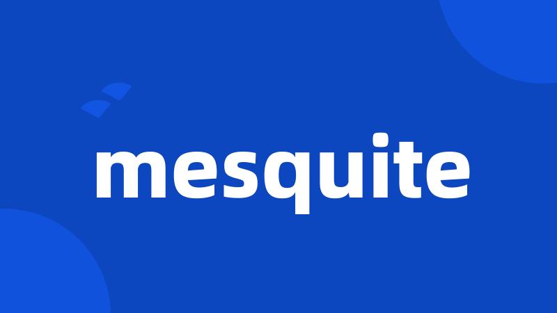 mesquite