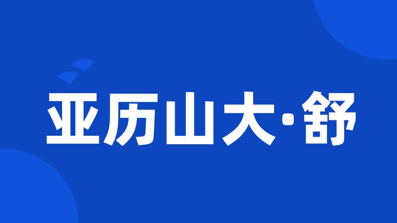 亚历山大·舒