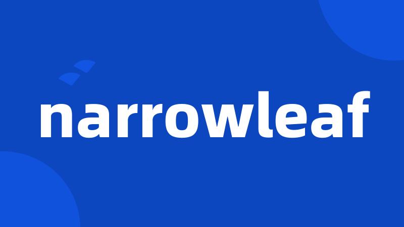 narrowleaf