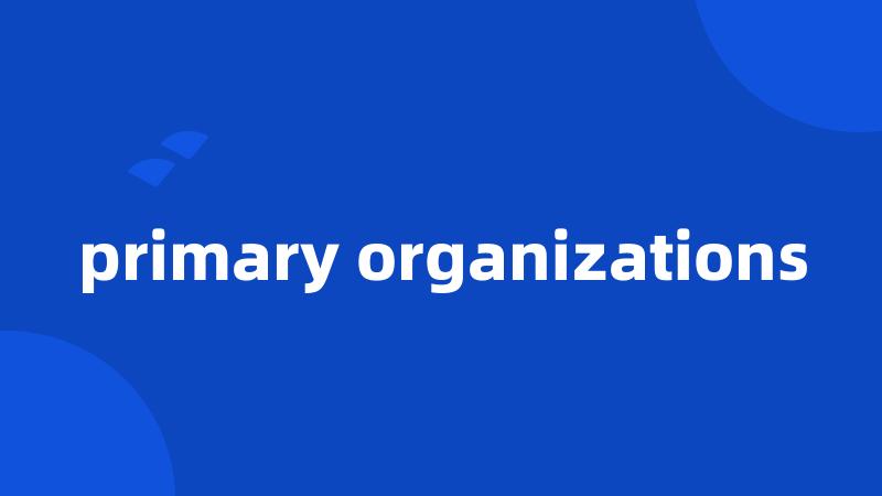 primary organizations