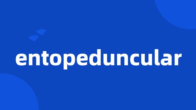 entopeduncular