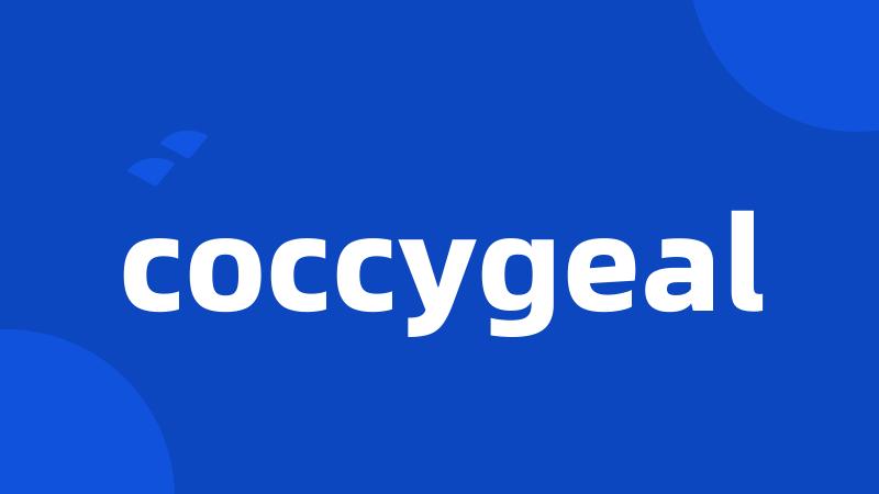 coccygeal