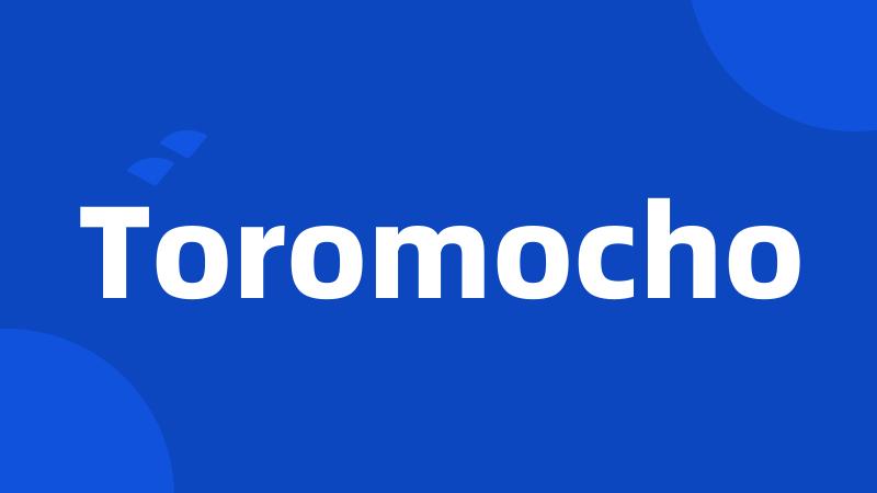 Toromocho