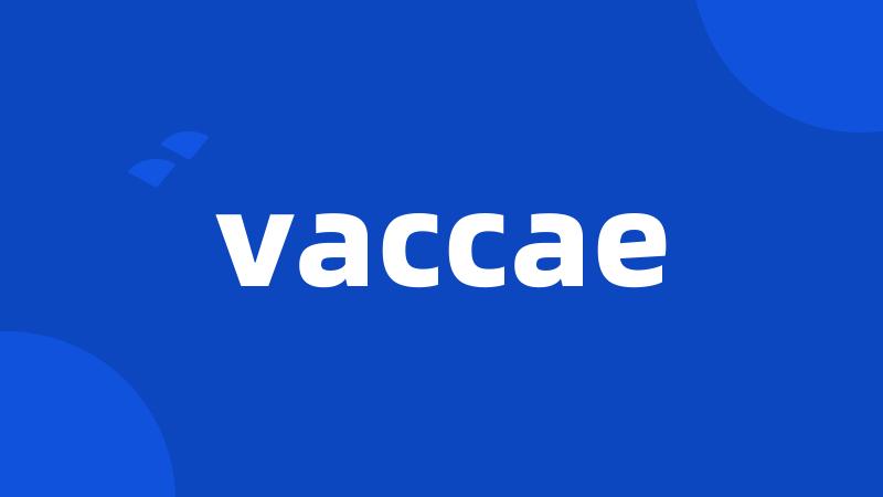 vaccae