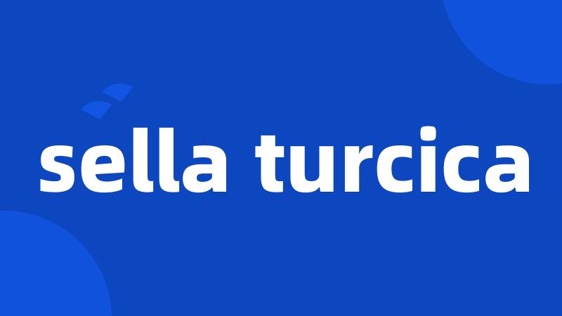 sella turcica