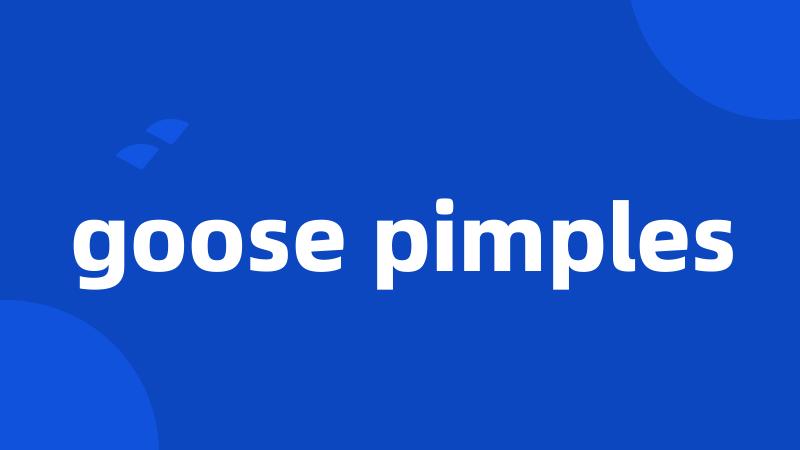 goose pimples