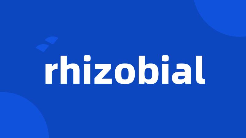 rhizobial