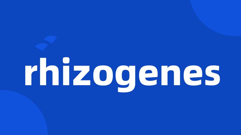 rhizogenes