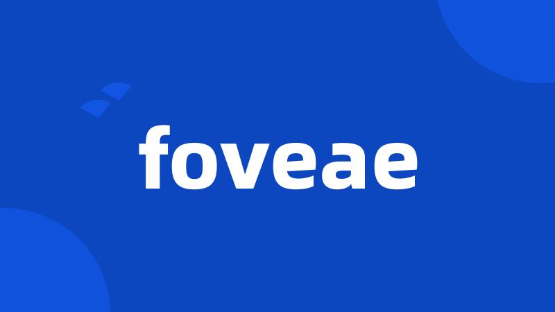 foveae