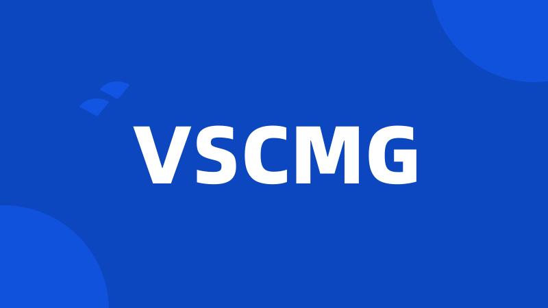 VSCMG