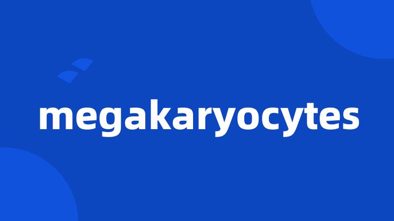 megakaryocytes