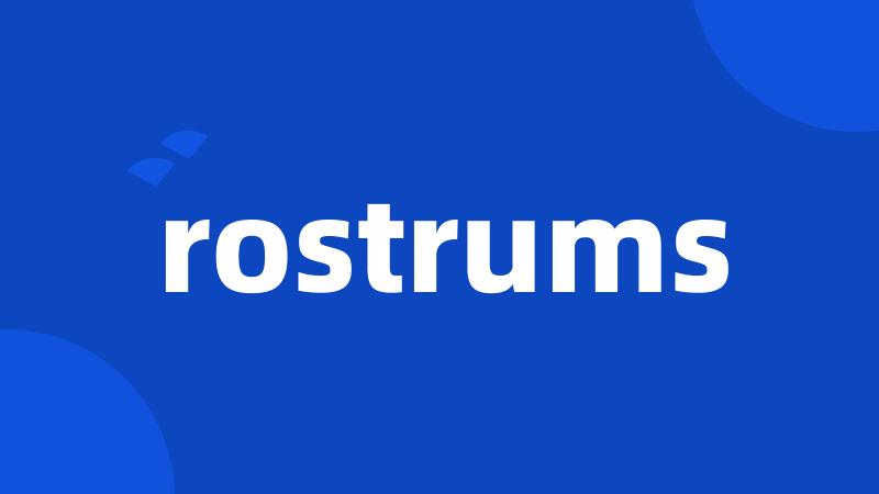 rostrums