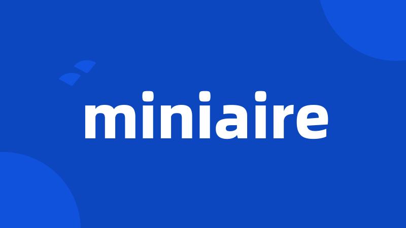 miniaire