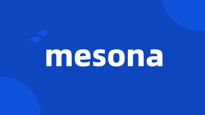 mesona