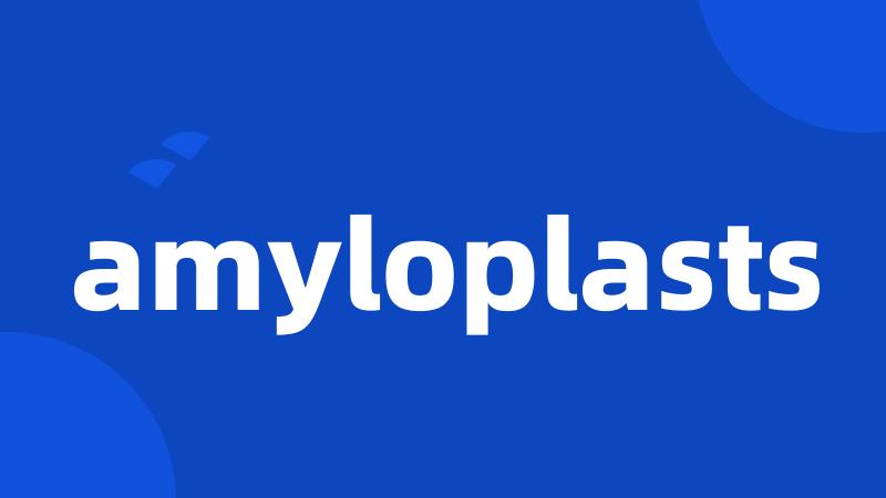 amyloplasts