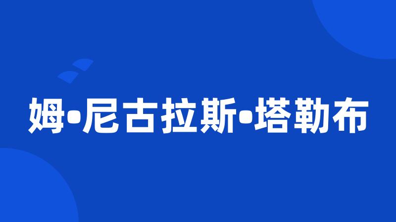 姆•尼古拉斯•塔勒布