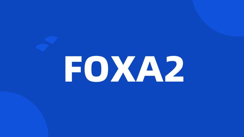 FOXA2