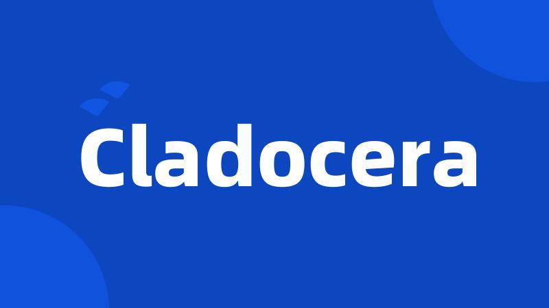 Cladocera