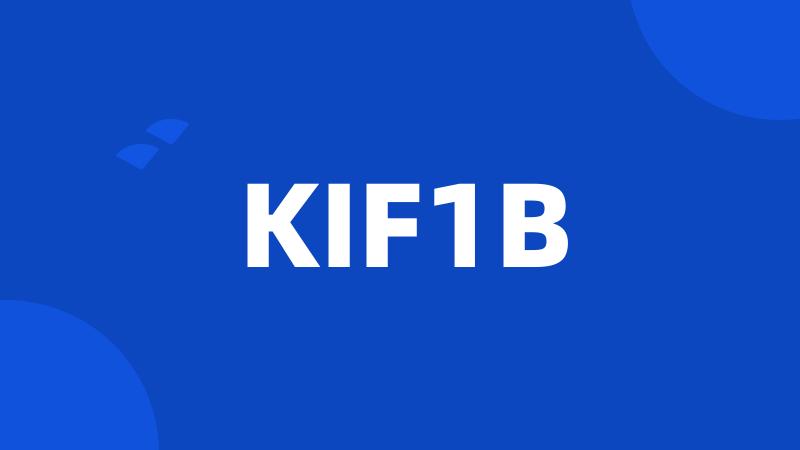 KIF1B