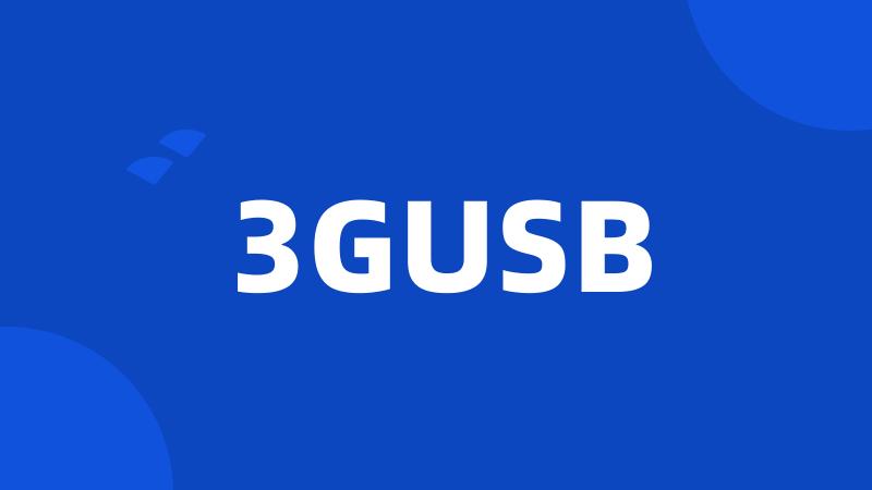 3GUSB