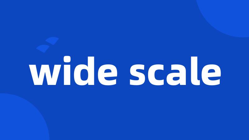 wide scale