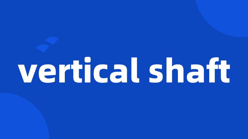 vertical shaft