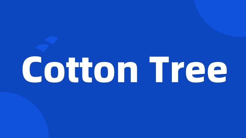 Cotton Tree