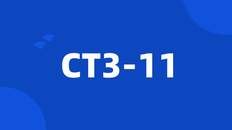 CT3-11