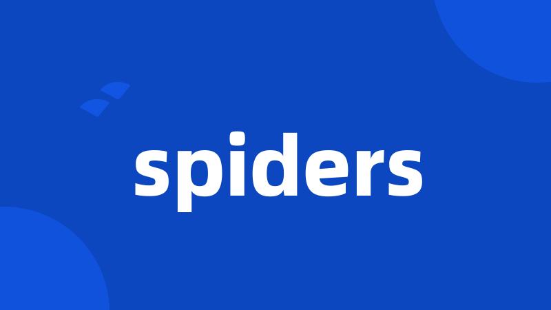 spiders