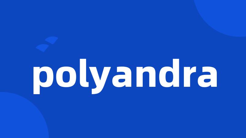 polyandra