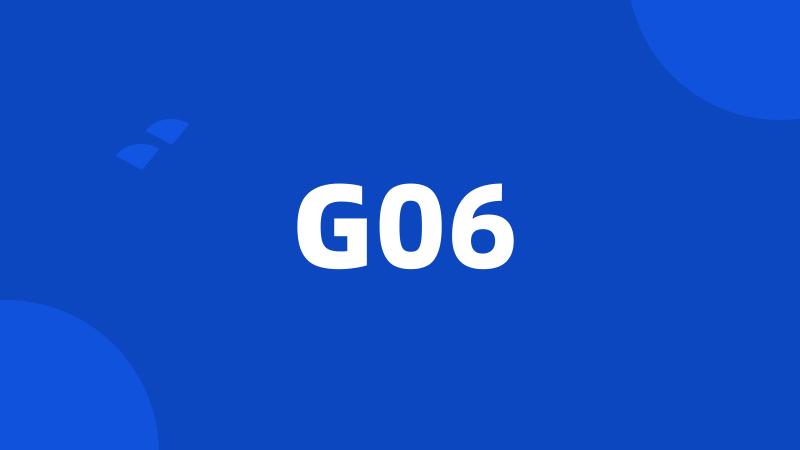 G06