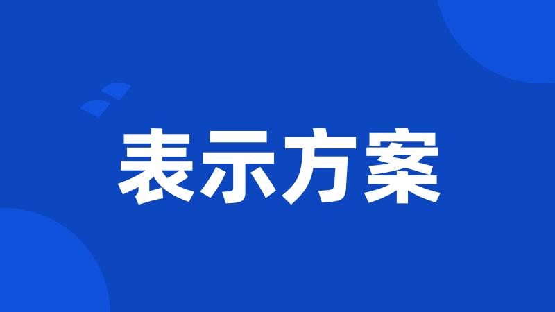 表示方案