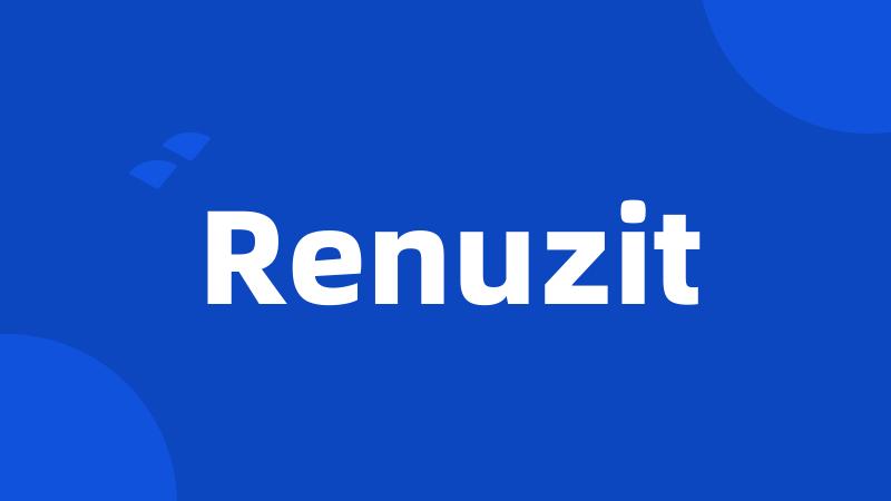 Renuzit