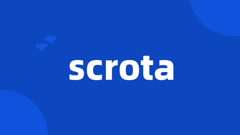 scrota