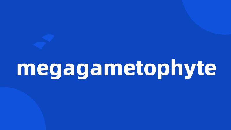 megagametophyte