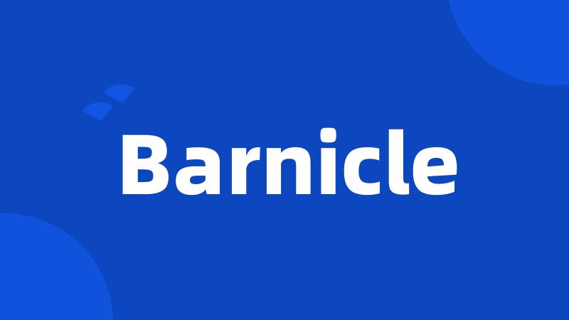 Barnicle