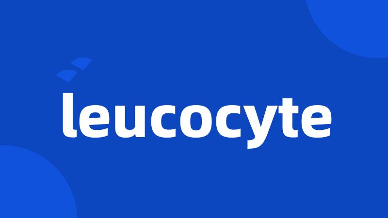 leucocyte