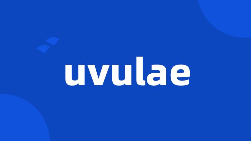 uvulae