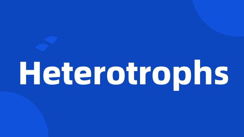 Heterotrophs