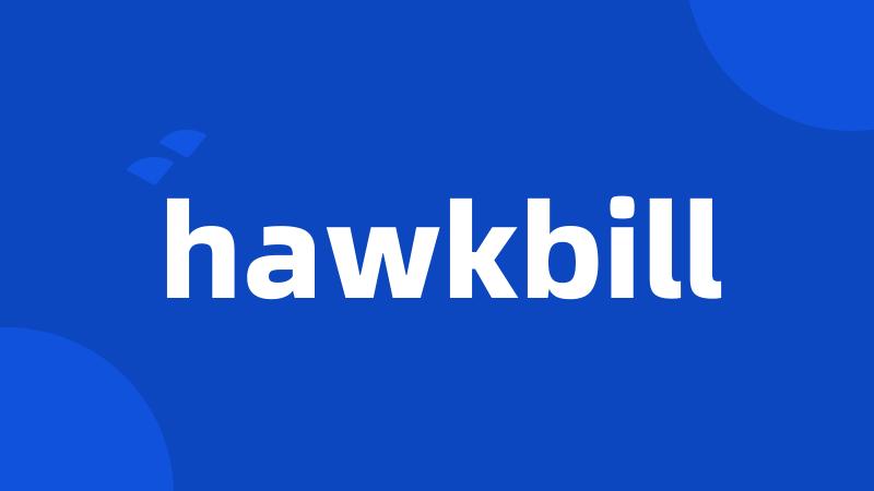 hawkbill